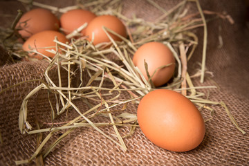 Organic brown eggs in rustic setting