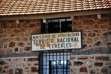 Organismos desaparecidos, agricultura, cereales, trigo