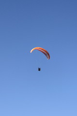 Paraglider