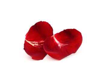 Petals of roses for valentine's day