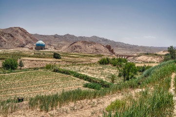 Naklejka premium Crops in Iran