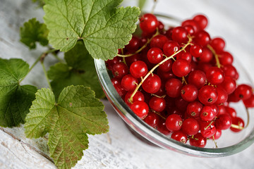 Red Currant