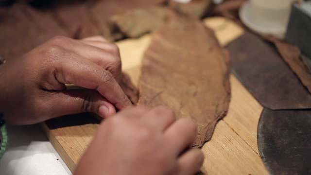 cigar manufacture