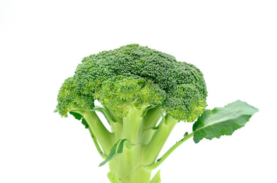 Broccoli raw vegetable on isolate background