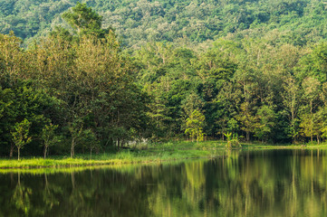 7 kot Lake side 2 © skhunda