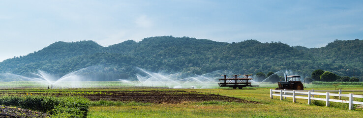 Panorama of corn farm is fed by water spray