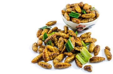 Fried Silk Worms