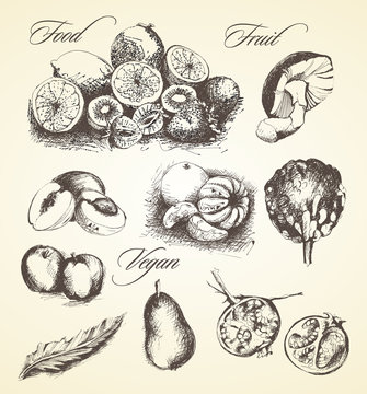 Healthy food fruits and vegetable hand drawn