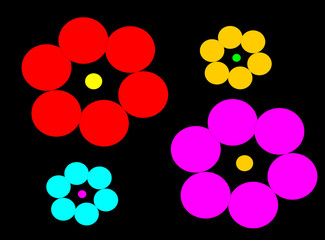 Colorful flowers on a black background