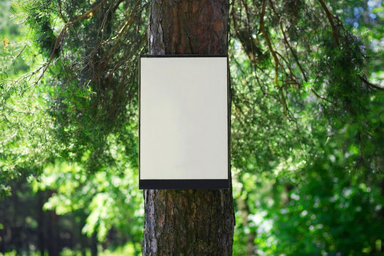 Environment and nature concept - empty board on tree in forest