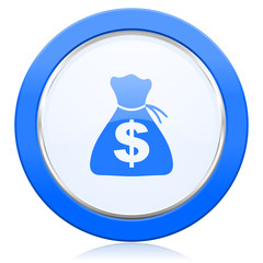money icon