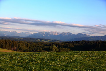 Fototapeta premium Grüne Wiesen und Wälder im Voralpenland