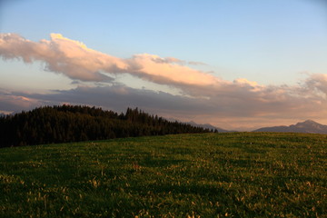 Grüne Wiesen und Wälder im Voralpenland