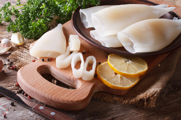 Sliced raw squid with ingredients closeup. Horizontal