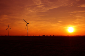 Obraz premium Windmills of the sunset in the background