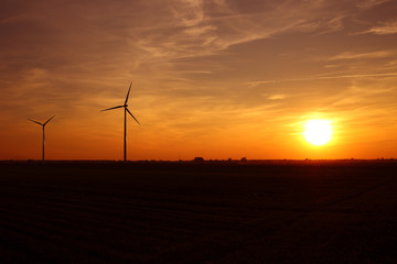 Obraz premium Windmills of the sunset in the background