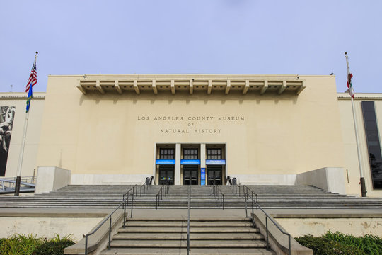Natural Museum of Los Angeles