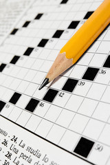 Focus on crosswords