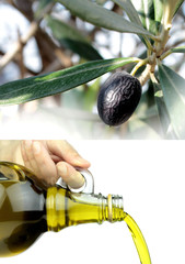 Extra virgin olive oil
