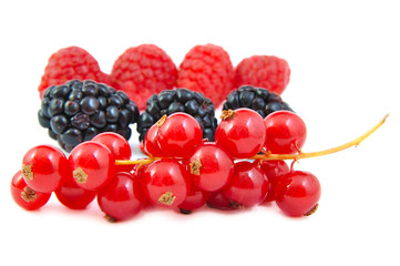 Blackberries, red currants and raspberries arranged in rows on a