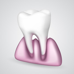 Vector tooth had fallen out of the gums