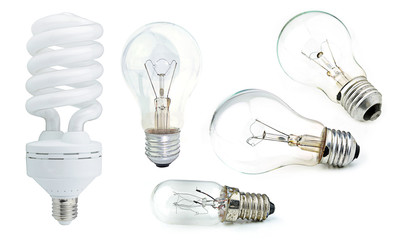 bulb isolated on white background.