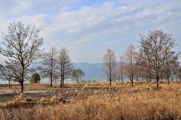 Fototapeta na wymiar 琵琶湖岸の風景