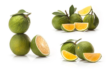 sweet green Oranges fruit  isolated on white background