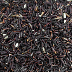 Raw Rice berry Rice (black jasmine rice )