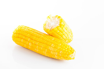 corn on white background