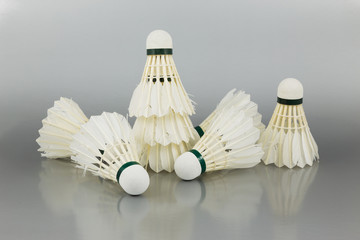 Fototapeta na wymiar Badminton