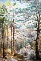 Первый снег. © Igor