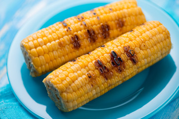 Blue glass plate with grilled sweet corn, close-up, studio shot