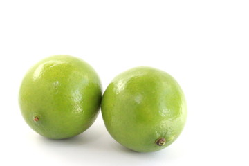 Green Lime on White Background