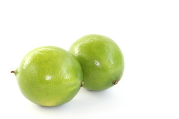 Green Lime on White Background