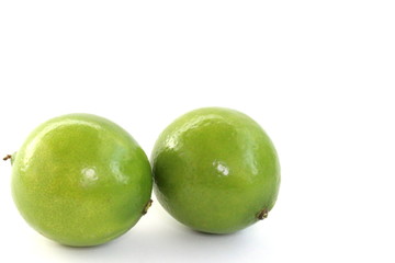 Green Lime on White Background