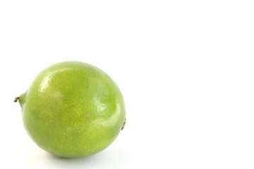 Green Lime on White Background