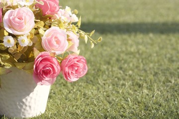 rose pot on green grass