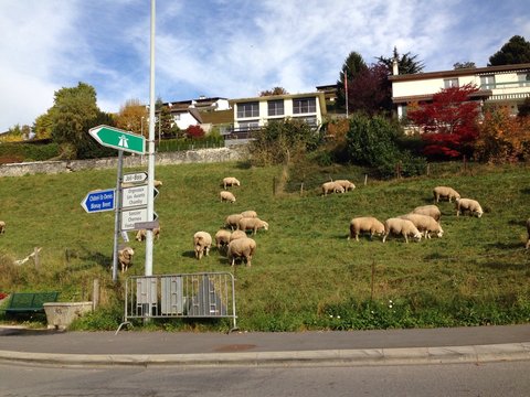 Bifurcation de Fontanivent