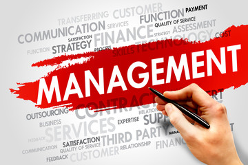 MANAGEMENT word cloud, business concept