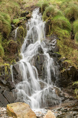 Fototapeta premium Cours d'eau