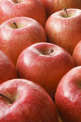 りんご　Apple