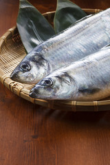 にしん　Herring