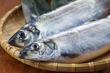 にしん　Herring