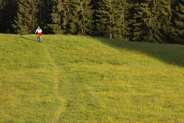 Traumtrail am Blomberg