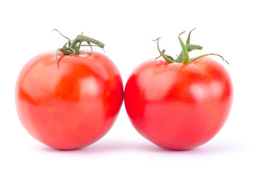 Fresh tomatoes on white background