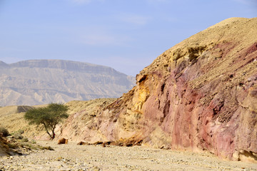 Small Crater landscape in Negev desert.