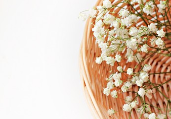 white dried flowers with straw basket and white background