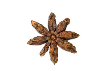 Closeup of reverse side of a star anise isolated on white