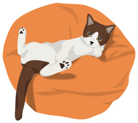 クッションでくつろぐ猫